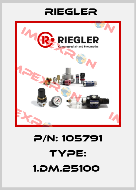 P/N: 105791 Type: 1.DM.25100  Riegler