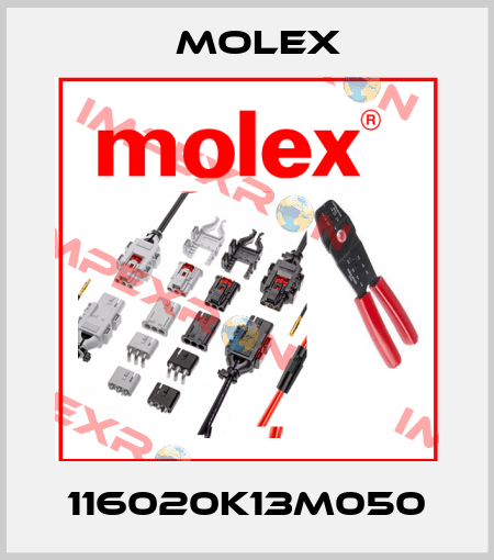 116020K13M050 Molex