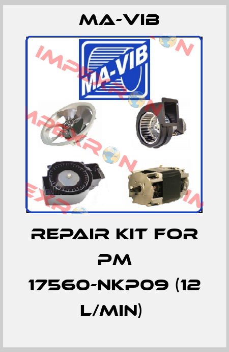 repair kit for PM 17560-NKP09 (12 l/min)  MA-VIB
