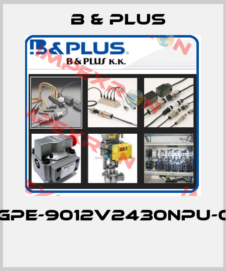 RGPE-9012V2430NPU-05  B & PLUS