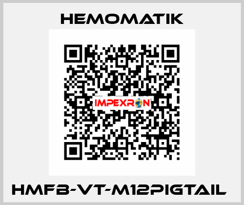 HMFB-VT-M12PIGTAIL  Hemomatik