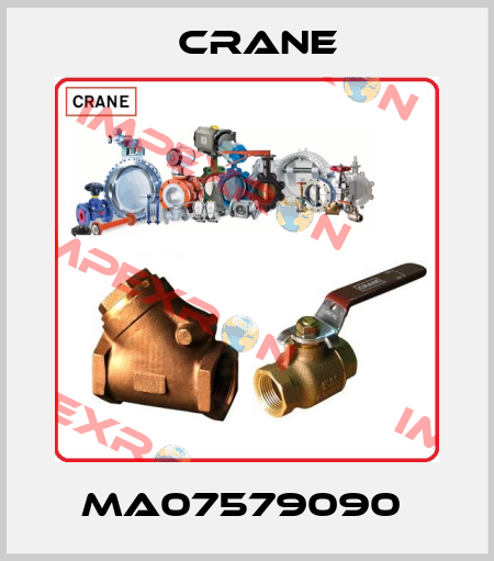 MA07579090  Crane