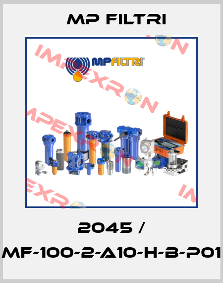 2045 / MF-100-2-A10-H-B-P01 MP Filtri