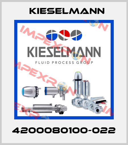 4200080100-022 Kieselmann