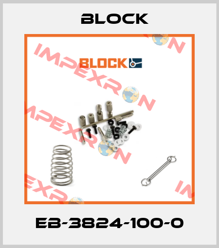 EB-3824-100-0 Block