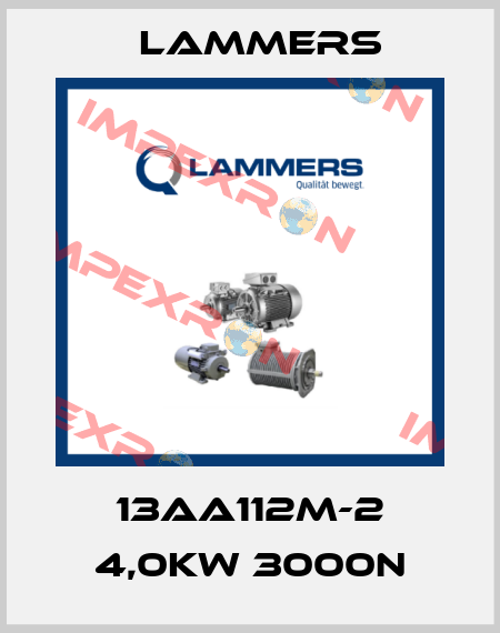 13AA112M-2 4,0kw 3000n Lammers