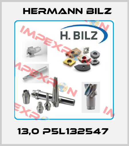 13,0 P5L132547  Hermann Bilz