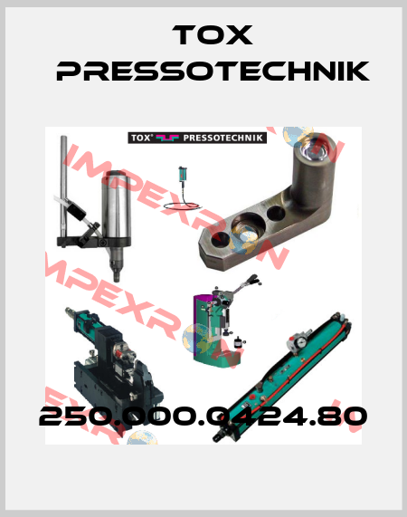 250.000.0424.80 Tox Pressotechnik