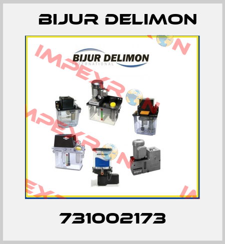 731002173 Bijur Delimon