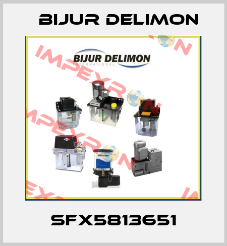 SFX5813651 Bijur Delimon