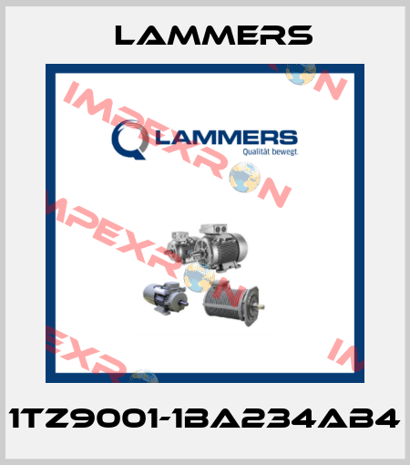 1TZ9001-1BA234AB4 Lammers