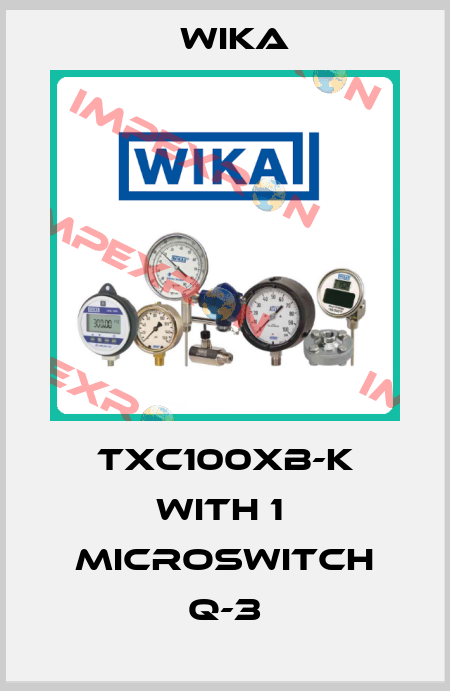 TXC100XB-K with 1  microswitch Q-3 Wika