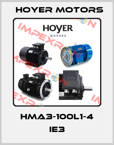 HMA3-100L1-4 IE3 Hoyer Motors