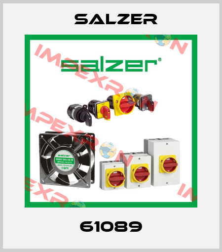 61089 Salzer