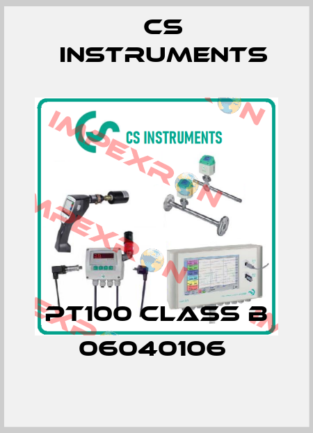PT100 Class B 06040106  Cs Instruments