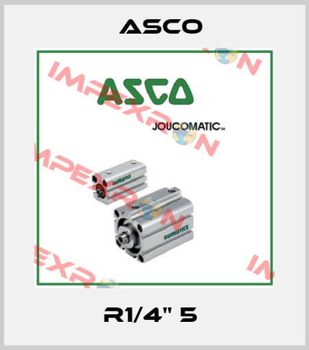 R1/4" 5  Asco