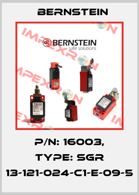 P/N: 16003, Type: SGR 13-121-024-C1-E-09-5 Bernstein
