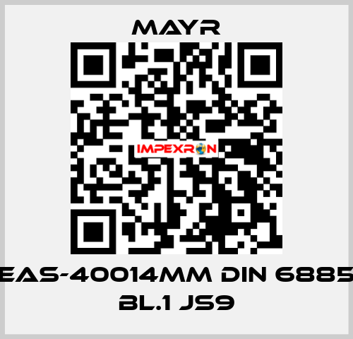 EAS-40014MM DIN 6885 BL.1 JS9 Mayr