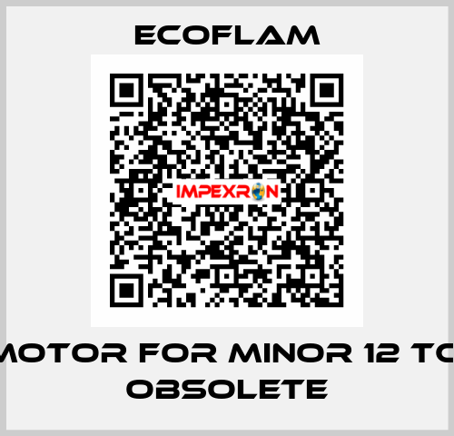 motor for MINOR 12 TC  obsolete ECOFLAM