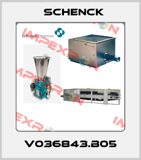 V036843.B05 Schenck