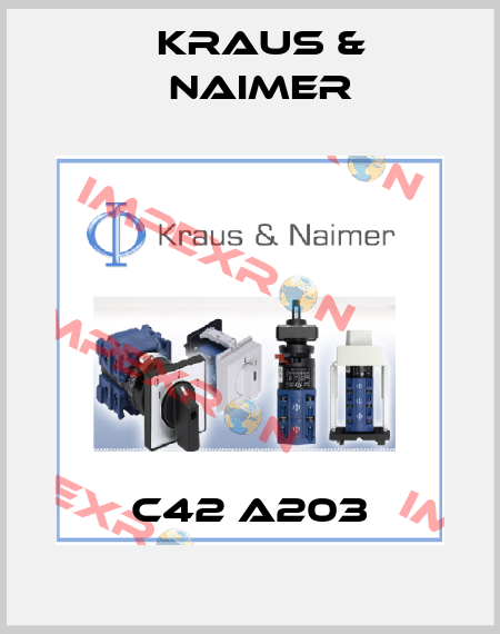 C42 A203 Kraus & Naimer