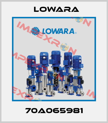 70A065981 Lowara