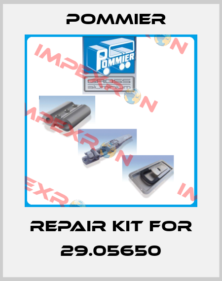 Repair kit for 29.05650 Pommier