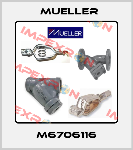M6706116 Mueller
