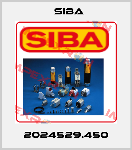 2024529.450 Siba