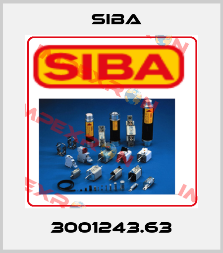 3001243.63 Siba