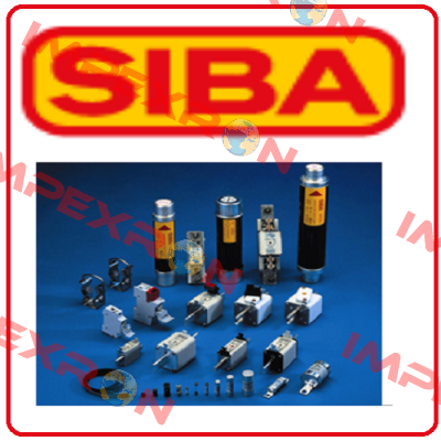 3009813.10 Siba