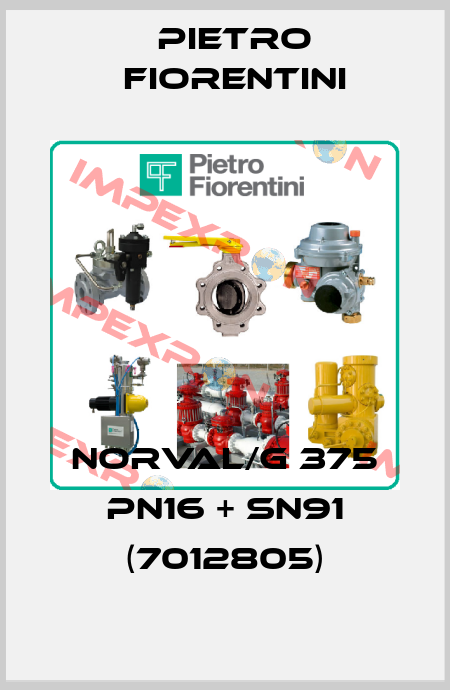NORVAL/G 375 PN16 + SN91 (7012805) Pietro Fiorentini