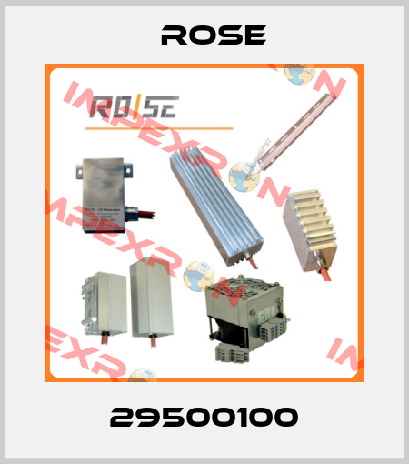29500100 Rose