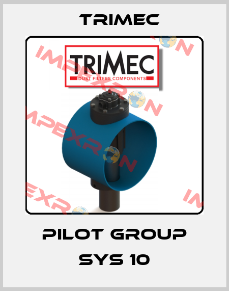 Pilot group sys 10 Trimec