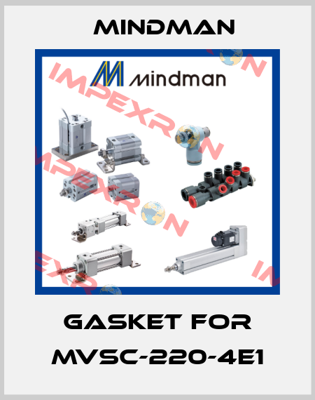 gasket for MVSC-220-4E1 Mindman