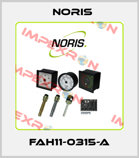 FAH11-0315-A Noris