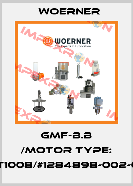 GMF-B.B /Motor type: RRT1008/#1284898-002-003 Woerner