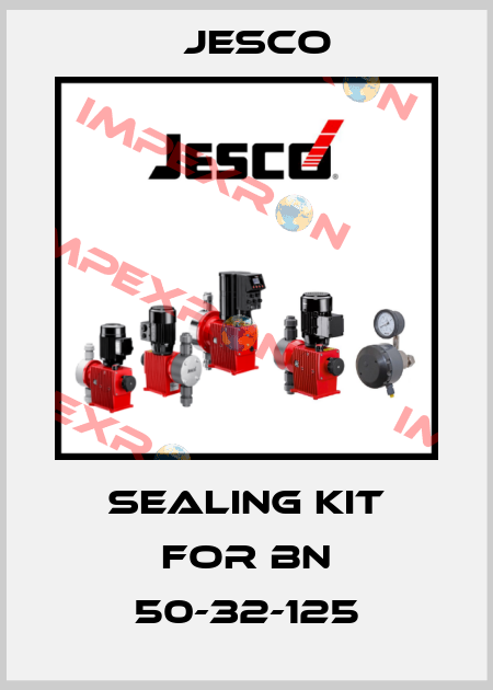 sealing kit for BN 50-32-125 Jesco