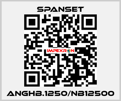 ANGHB.1250/NB12500 SpanSet
