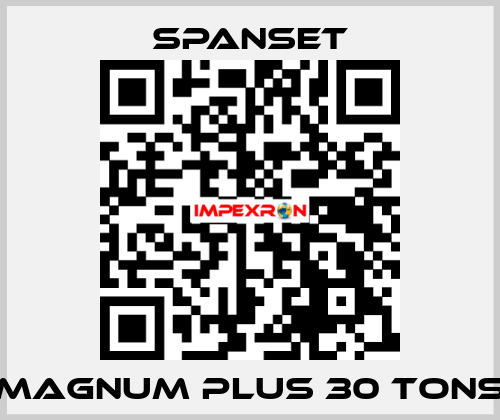 magnum plus 30 tons SpanSet