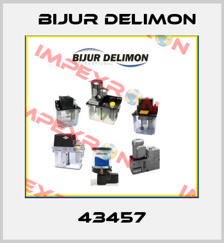 43457 Bijur Delimon