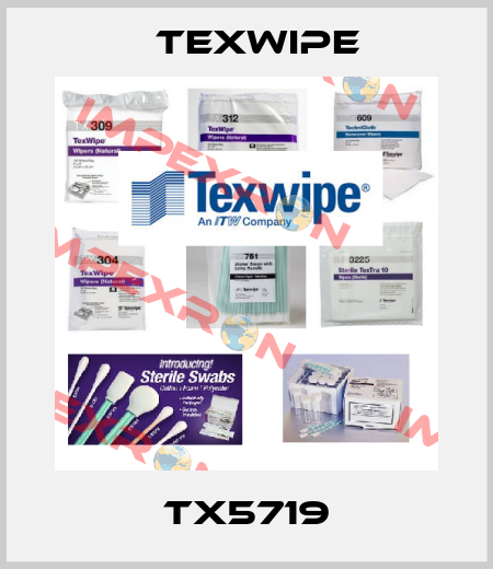 TX5719 Texwipe