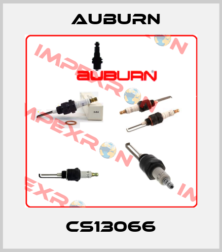 CS13066 Auburn