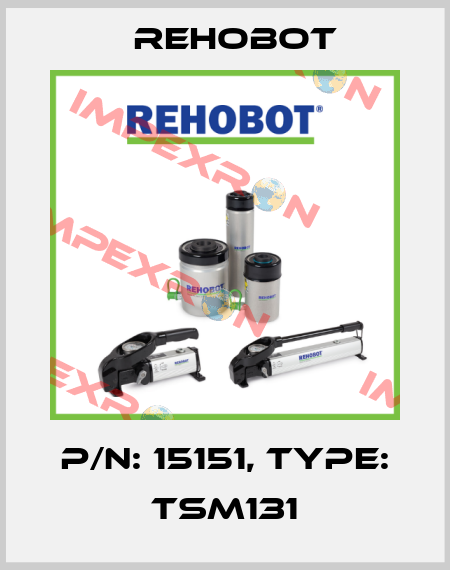 p/n: 15151, Type: TSM131 Rehobot