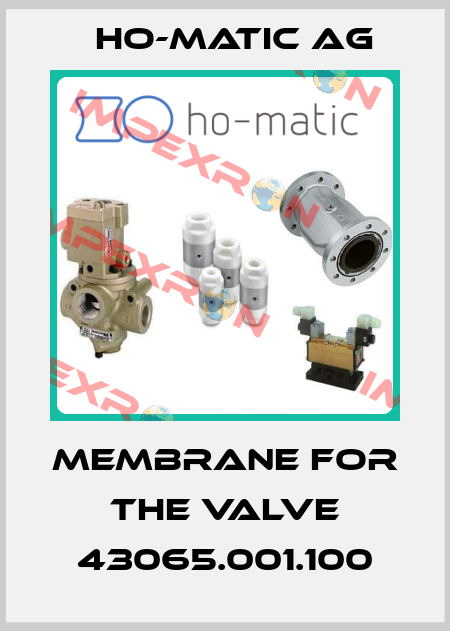 Membrane for the valve 43065.001.100 Ho-Matic AG