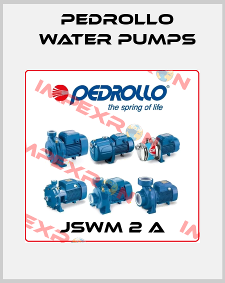 JSWm 2 A Pedrollo Water Pumps
