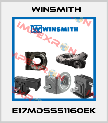 E17MDSS51160EK Winsmith