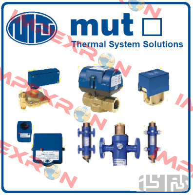SFS 050 M1S G 1/4" IP54 Mut Meccanica Tovo SpA