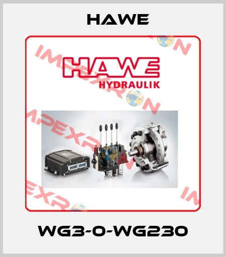 WG3-0-WG230 Hawe