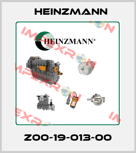 Z00-19-013-00 Heinzmann